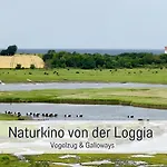 Gisela Und Franz - Fuer Sonnenuntergangfans - 180 Grad Meerblick - Saisonstrandkorb Inkl Von Mai-sept Am Naturstrand In 450 M - 3 Einzelbetten - Kueche Mit Spuelmaschine - Wlan - Spiele Und Buecher - Baecker Restaurants Indoorspielplatz Heiligenhafen