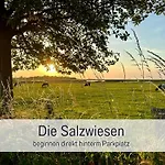 Gisela Und Franz - Fuer Sonnenuntergangfans - 180 Grad Meerblick - Saisonstrandkorb Inkl Von Mai-sept Am Naturstrand In 450 M - 3 Einzelbetten - Kueche Mit Spuelmaschine - Wlan - Spiele Und Buecher - Baecker Restaurants Indoorspielplatz * Heiligenhafen