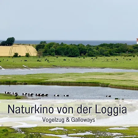 Gisela Und Franz - Fuer Sonnenuntergangfans - Meerblick - Saisonstrandkorb Inkl Von Mai-mitte Sept Am Naturstrand In 450 M - 3 Einzelbetten - Kueche Mit Spuelmaschine - Wlan - Spiele - Buecher - Minimarkt - Baecker - Restaurants- Indoorspielplat Heiligenhafen