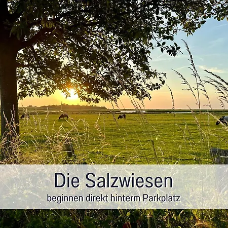 Gisela Und Franz - Fuer Sonnenuntergangfans - Meerblick - Saisonstrandkorb Inkl Von Mai-sept Am Naturstrand In 450 M - 3 Einzelbetten - Kueche Mit Spuelmaschine - Wlan - Spiele - Buecher - Minimarkt - Baecker - Restaurants- Indoorspielplatz * Heiligenhafen